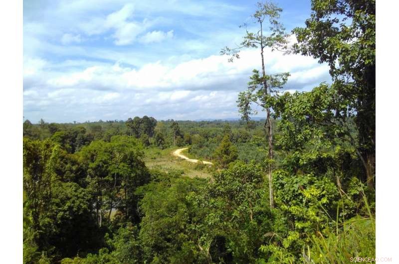 Assessing the Credibility of Sustainability Claims in the Rubber Industry