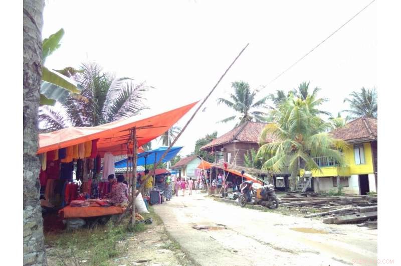 Assessing the Credibility of Sustainability Claims in the Rubber Industry