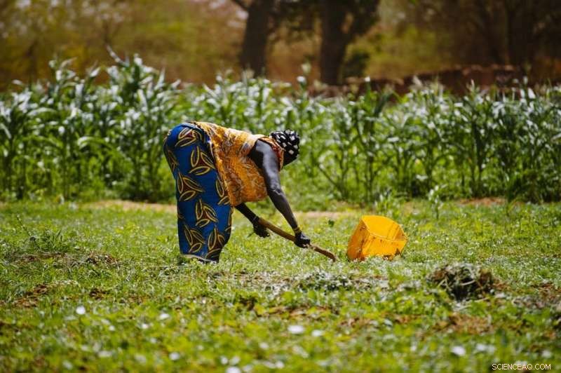 Study Reveals How Land Degradation Drives Migration in Burkina Faso