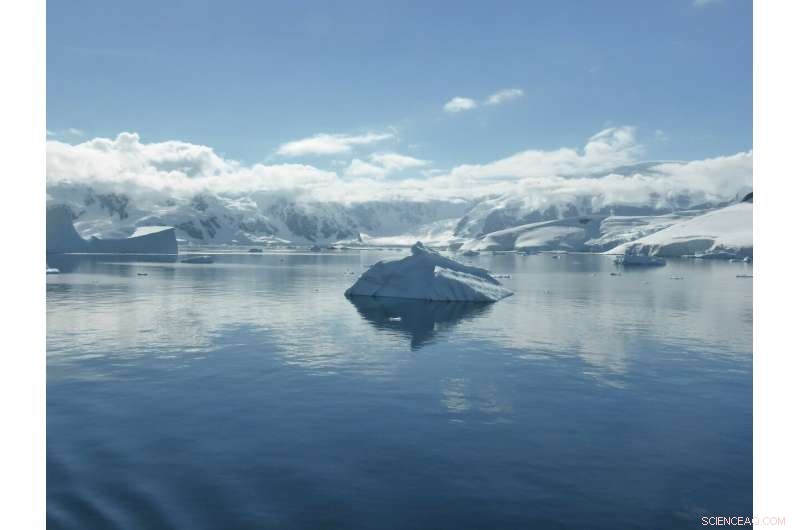 Where Is Antarctic Bottom Water Heading? Key Insights into Climate and Ocean Circulation