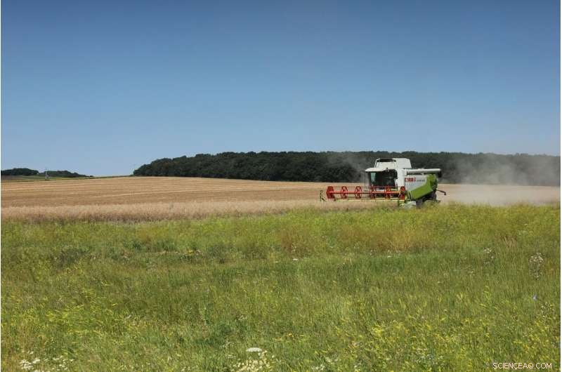 Hungary Launches First Nature-Based Water Retention Projects