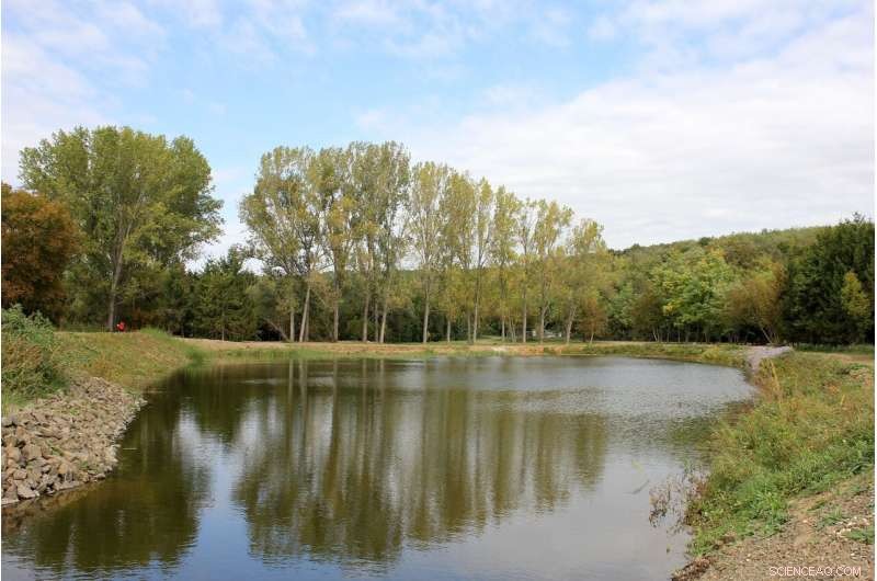 Hungary Launches First Nature-Based Water Retention Projects