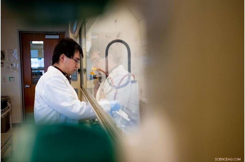 Exploring Puget Sound: Innovative Method Detects Wide Range of Potentially Harmful Chemicals