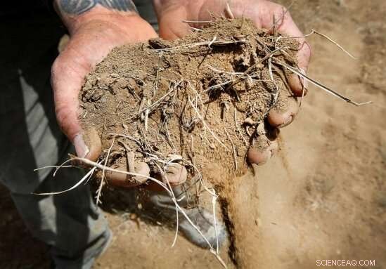 Scientists Link 2018 Four Corners Drought to Human‑Made Climate Change