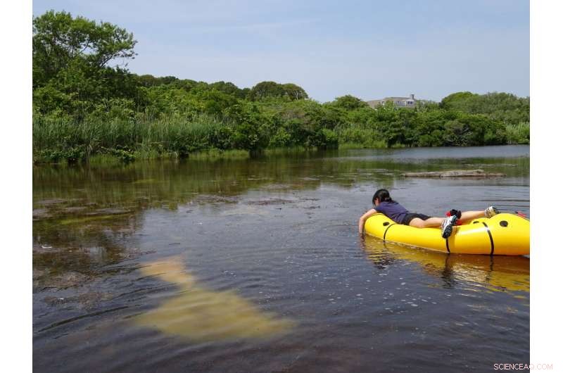 Serendipitous Observation Leads to In-Depth Study of Microbial Bloom Formation