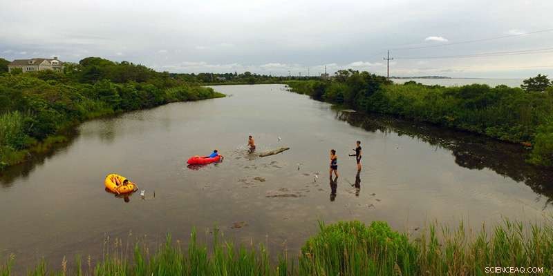Serendipitous Observation Leads to In-Depth Study of Microbial Bloom Formation