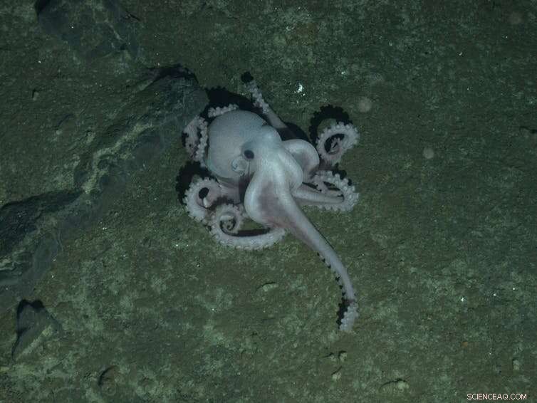 Deep Sea Pioneers: Unsung Heroes of 20th Century Submarine Exploration