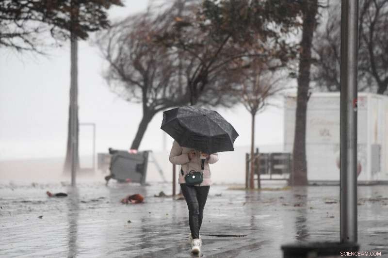 Spain Reports 11 Fatalities as Storm Gloria Subsides