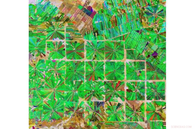 Deforestation in Bolivia: Insights from Copernicus Sentinel-2 Imaging