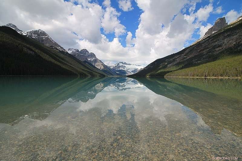 New Platform Standardizes Paleoclimatology Data for Reliable Climate Insights