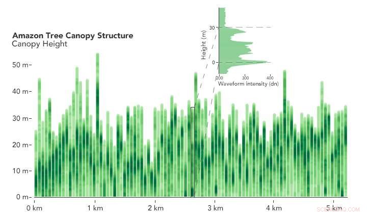 NASA s GEDI Mission Unveils First 3-D Forest Data, Enhancing Carbon Cycle Insights