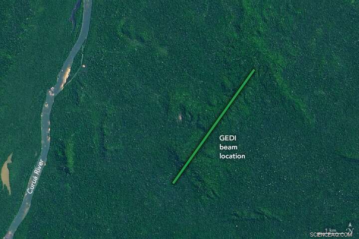 NASA s GEDI Mission Unveils First 3-D Forest Data, Enhancing Carbon Cycle Insights