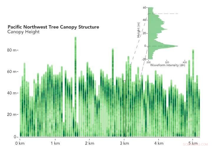 NASA s GEDI Mission Unveils First 3-D Forest Data, Enhancing Carbon Cycle Insights