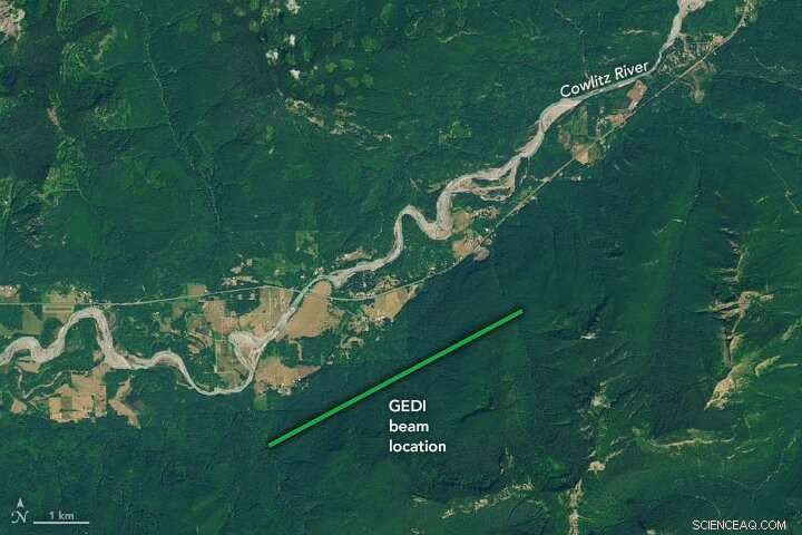 NASA s GEDI Mission Unveils First 3-D Forest Data, Enhancing Carbon Cycle Insights