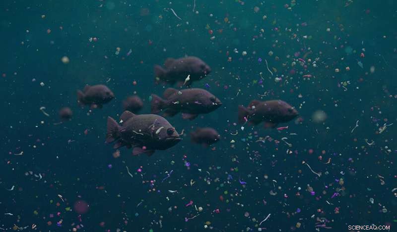 New Study Shows UK Residents Lack Awareness of Microplastics