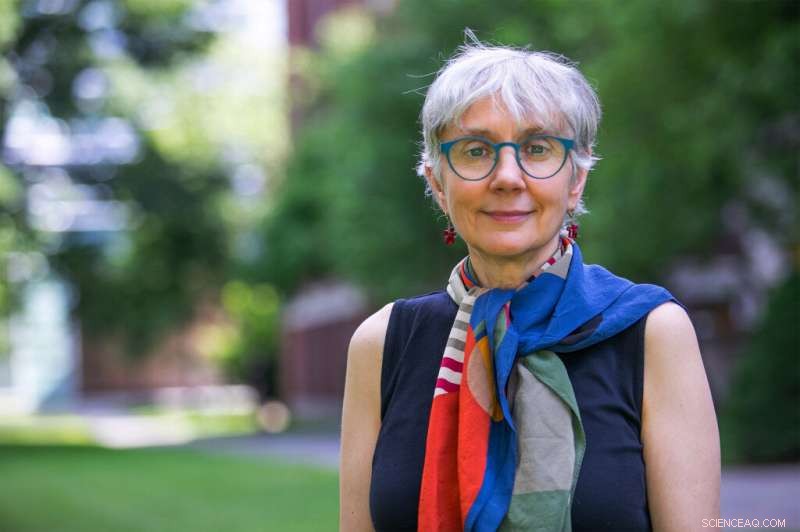 Long-Term Consequences of Wildfires: Ecological and Human Impact