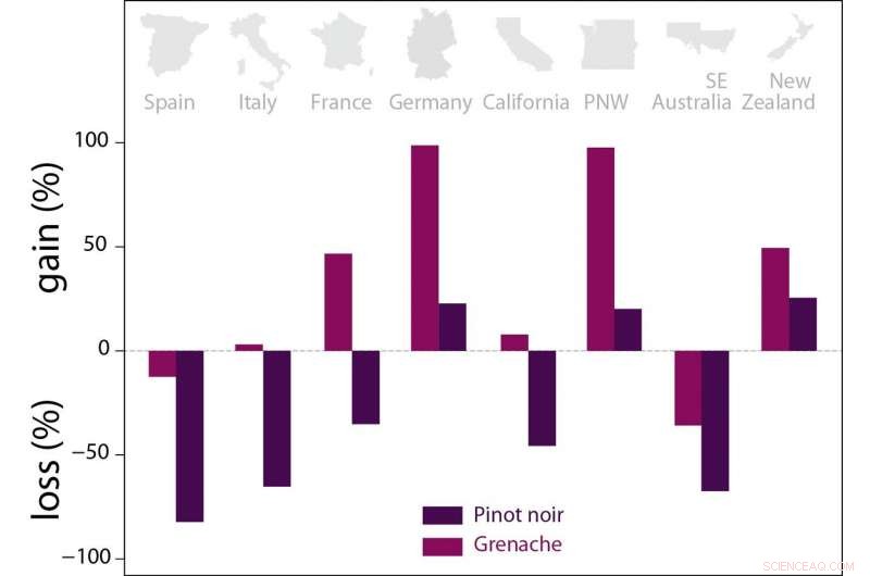 Climate Change Threatens Major Wine Regions—Variety Swaps Could Preserve Viticulture