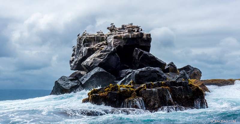 Sea Ice Decline Linked to New El Niño‑Like Tropical Pattern, Study Finds