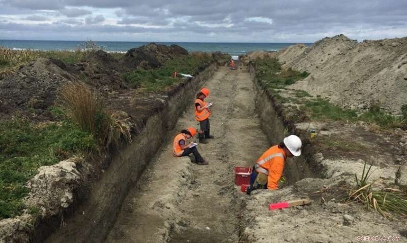 Upper‑Plate Earthquakes Trigger Coastal Uplift on New Zealand s Northern Hikurangi Margin
