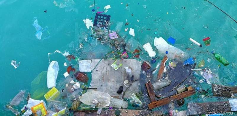 Microplastic Pollution: Scientists Decode Its Hidden Threats to Wildlife