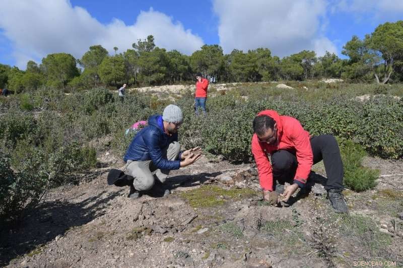 Reviving Tunisia’s Forests: Youth Volunteers Replant Burned Lands