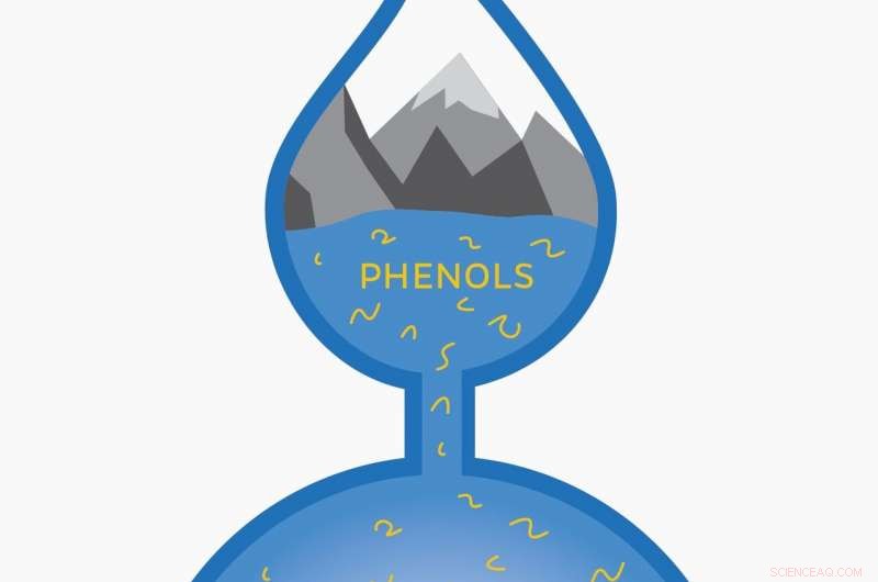 Newly Discovered Toxic Byproducts From Chlorinated Drinking Water – What It Means for Your Health