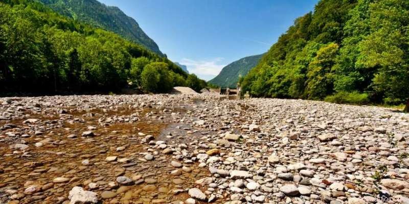 High‑Elevation Vegetation Drains Alpine Water Fluxes, According to ETH Study