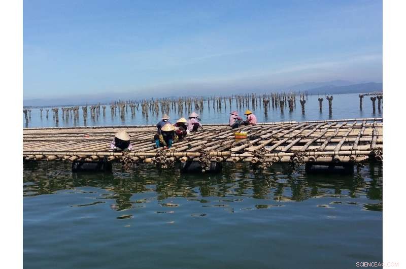 Hidden Threat: Microplastics from Fishing Activities Accumulate in Deep Ocean Sediments