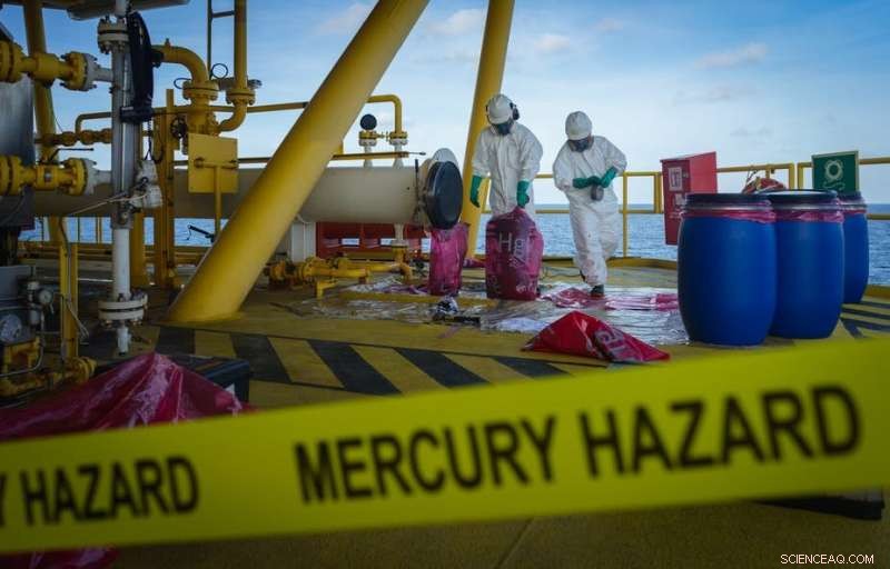 Bushfires and Climate Change Release Mercury Stored in Plants, Raising Environmental Concerns