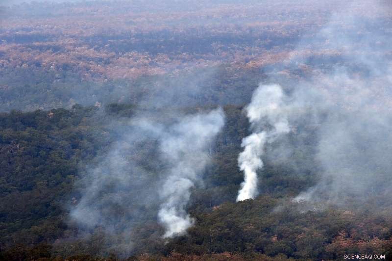 Australia s Heatwave Amplifies Bushfire Concerns Amid Ongoing Recovery
