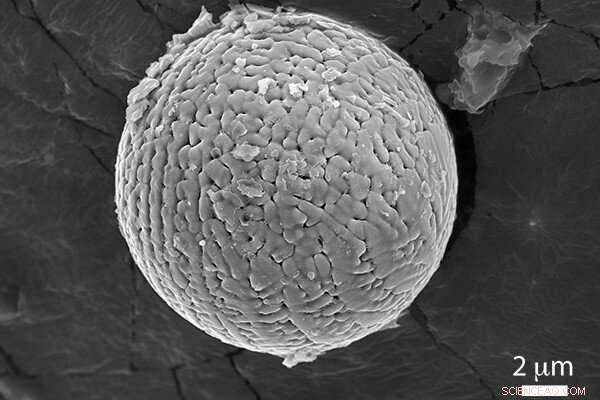 Microscopic Meteorites Reveal Ancient Earth’s High CO₂ Levels