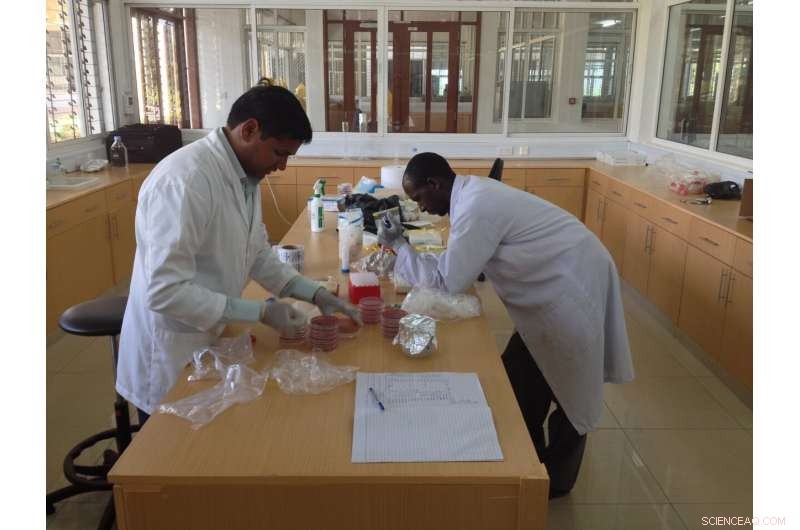 Antibiotic Resistance in Tanzania: A Growing Environmental Health Crisis