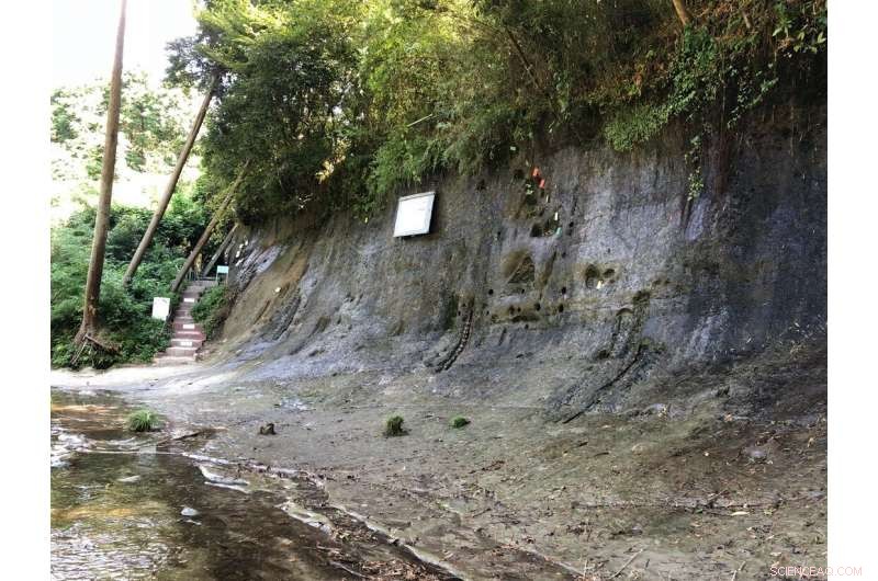 Fossil Foraminifera in Marine Sediments Uncover 800,000-Year-Old Sea Surface Temperature Shifts