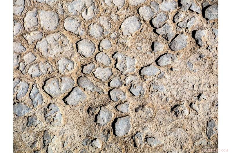 University of Derby Study Proposes Global Dryland Strategy to Combat Climate Change