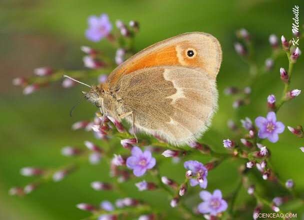 World Wetlands Day: Protecting Biodiversity & Combating Climate Change
