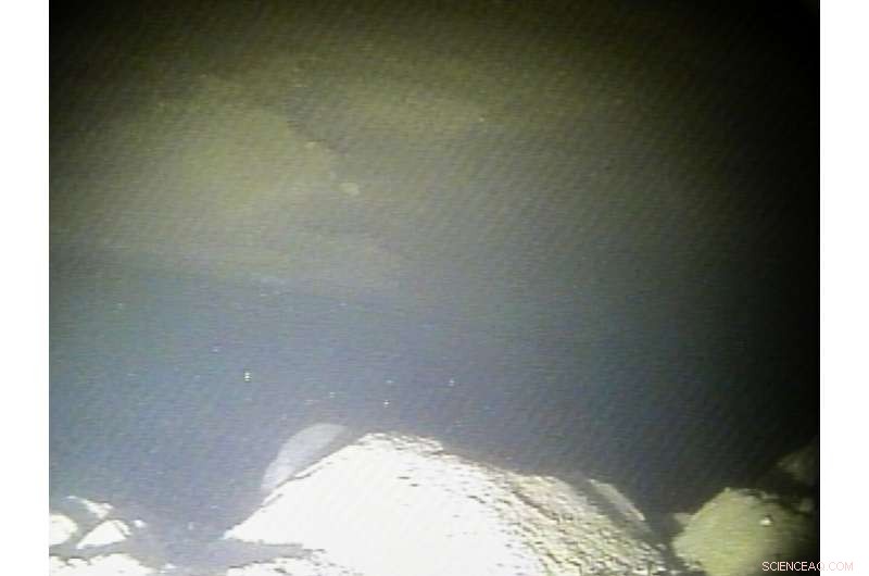 Robotic Submarine Captures Historic Images of Thwaites Glacier s Grounding Line