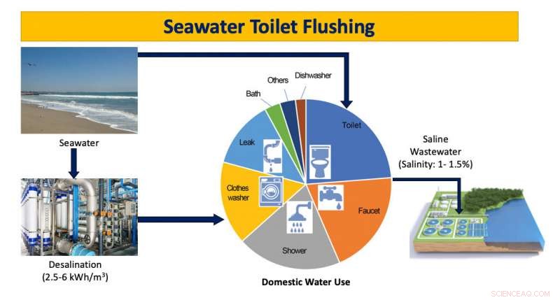 Revolutionary Bacteria Breaks Down Nitrogen in Seawater Toilets