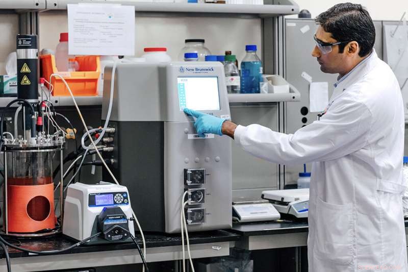 Revolutionary Bacteria Breaks Down Nitrogen in Seawater Toilets