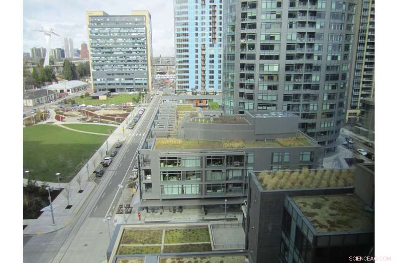 Study Finds Residents Willing to Maintain Green Infrastructure for Sustainable Urban Water Management