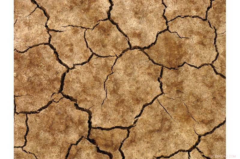 Climate Change and Its Impact on Soil Health: Risks & Solutions