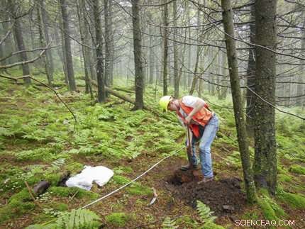 Restoring Forest Soils: Recovery from Acid Rain Impacts