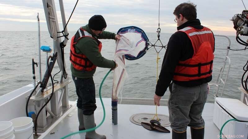 New Study Pinpoints Hotspots of Microplastic Pollution in Delaware Bay