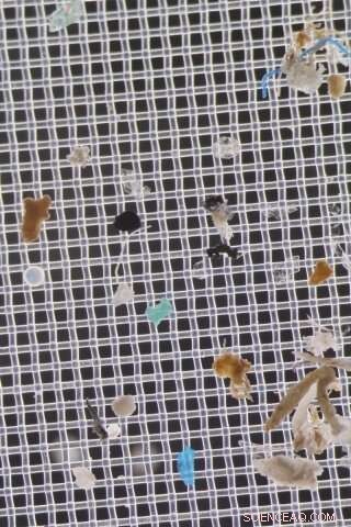 New Study Pinpoints Hotspots of Microplastic Pollution in Delaware Bay