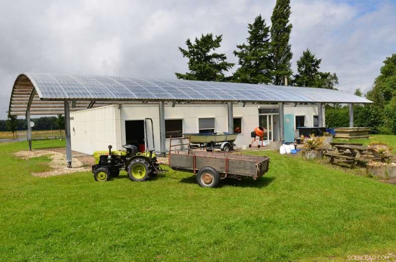 Study Reveals Microplastics Diminish Naididae Worms in Soil Sediments