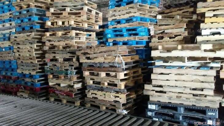 Why Wooden Pallets Outperform Plastic in Sustainability