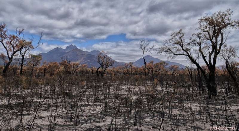 250+ Climate Scientists Urge Australian Leaders to Take Immediate Action on Climate Change