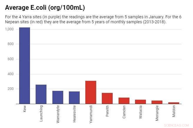 Yarra vs Nepean: Which River Is Safer for Swimming?