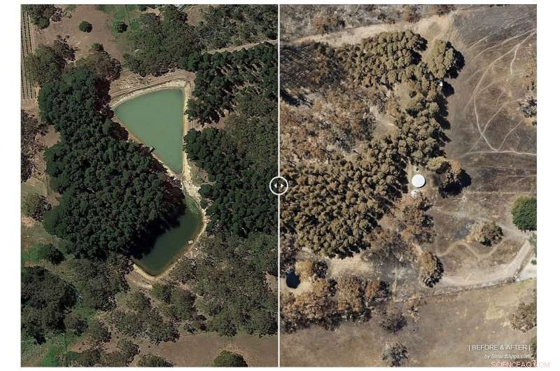 Airborne Research Australia Releases Free 3D Maps to Aid Bushfire Recovery