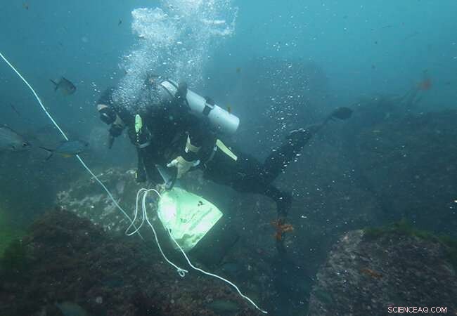Investigating Future Seawater Conditions at Whakaari/White Island