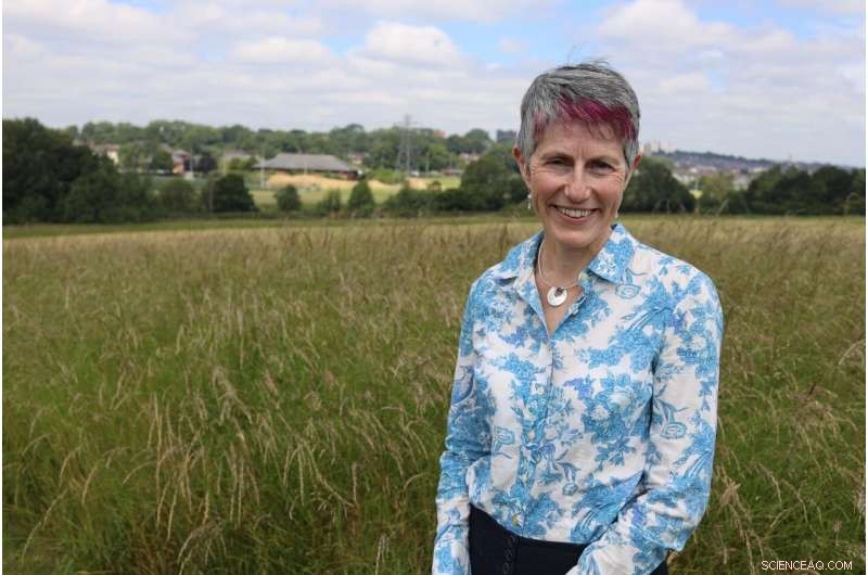 Evaluating Landscapes with Computer Games: A New Analytical Tool